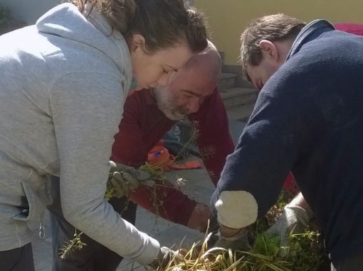 Progetto di foglia in fiore